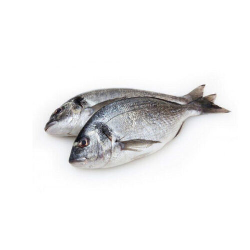 C065-600x600-1.jpeg